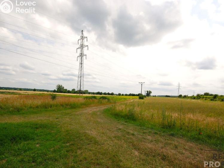 Prodej chaty Břeclav č. 17