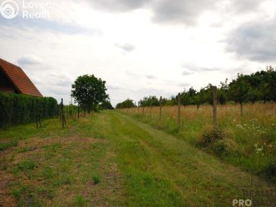 Продажа хижины Břeclav č. 8