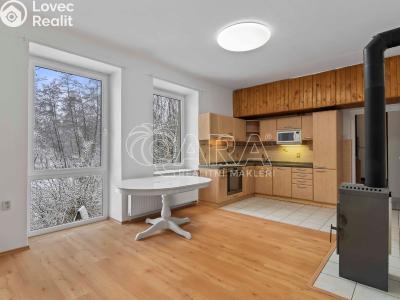 Pronájem rodinného domu Říčany, Hlavní 47 č. 1