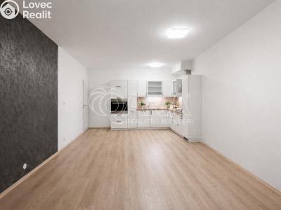 Pronájem bytu 2+KK Praha, Makedonská č. 1