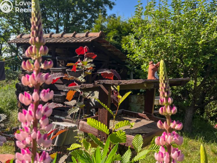 Prodej chaty Moravské Bránice č. 31