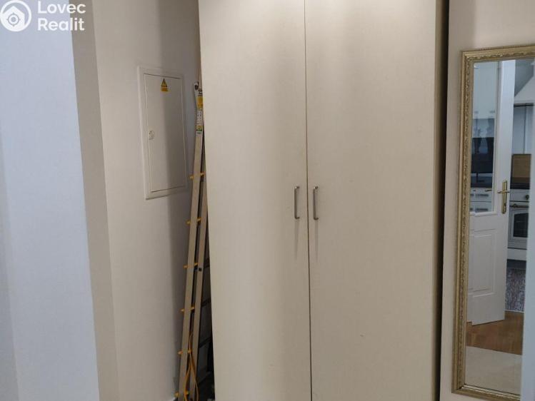 Pronájem bytu 1+KK Praha, Záhřebská č. 7