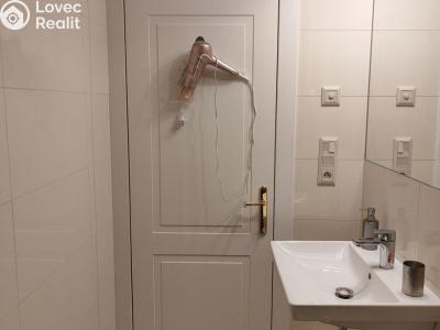 Pronájem bytu 1+KK Praha, Záhřebská č. 6