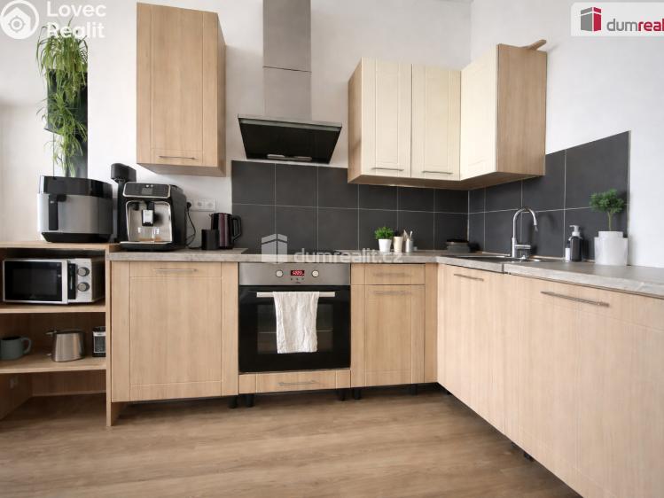 Pronájem bytu 2+KK Modlany č. 1