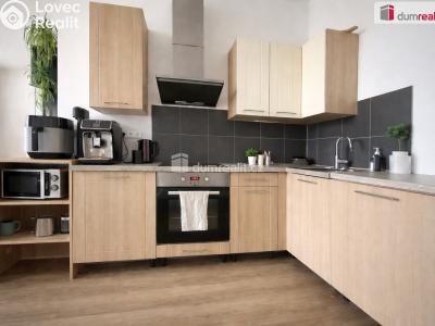 Pronájem bytu 2+KK Modlany č. 1