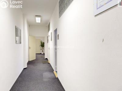 Rent commercial space Orlová, U Centrumu č. 4