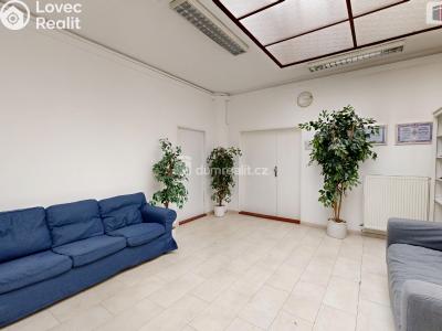 Rent commercial space Orlová, U Centrumu č. 6