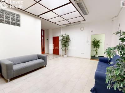Rent commercial space Orlová, U Centrumu č. 7