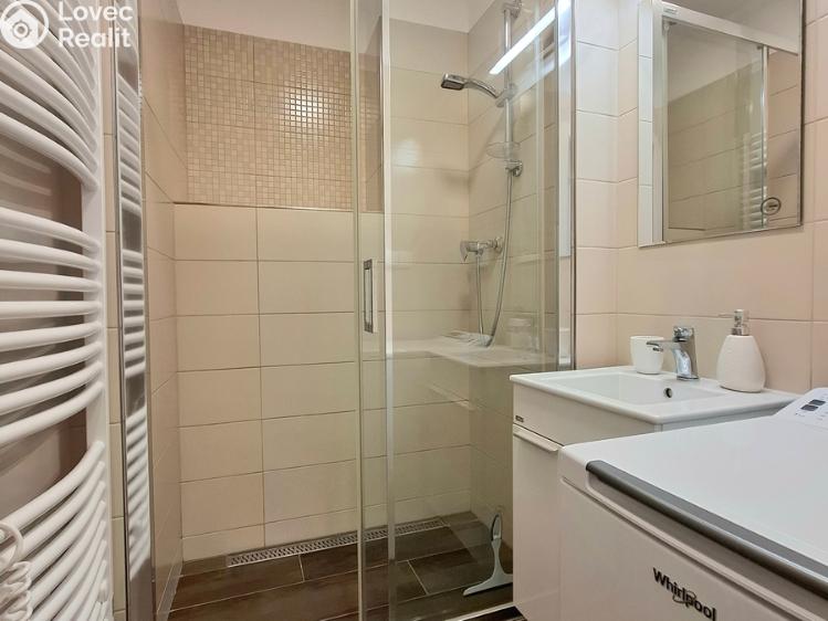 Pronájem bytu 2+1 Pardubice, Devotyho 2448 č. 3