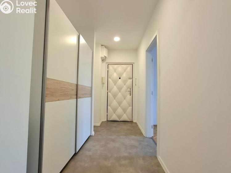 Pronájem bytu 2+1 Pardubice, Devotyho 2448 č. 16