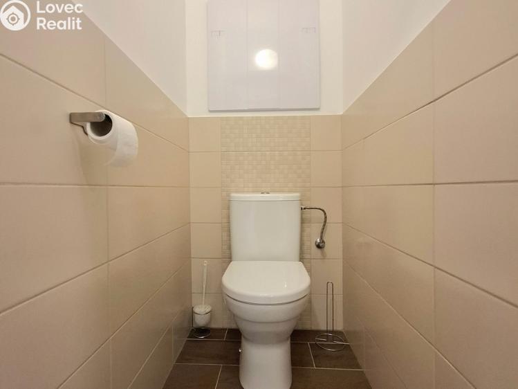 Pronájem bytu 2+1 Pardubice, Devotyho 2448 č. 17