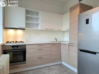 Pronájem bytu 2+1 Pardubice, Devotyho 2448 č. 1