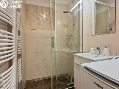 Pronájem bytu 2+1 Pardubice, Devotyho 2448 č. 3