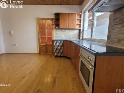 Pronájem bytu 3+KK Olomouc č. 1