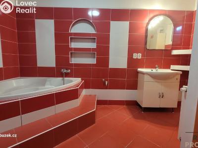 Pronájem bytu 3+KK Olomouc č. 6