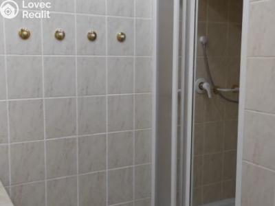 Pronájem bytu 1+1 Tachov, Hornická č. 5