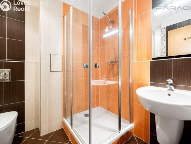 Rent apartment 2+KK Praha, Jankovcova č. 8