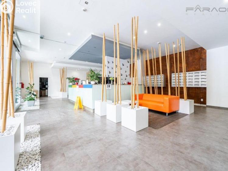 Rent apartment 2+KK Praha, Jankovcova č. 13