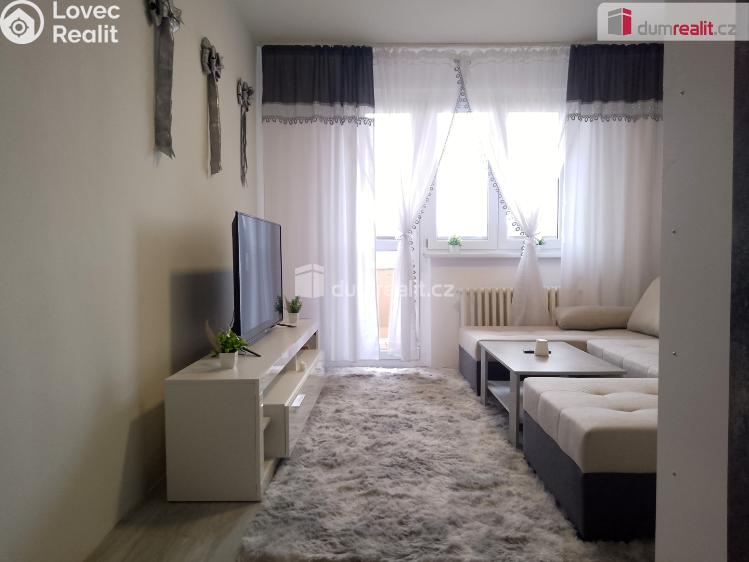 Pronájem bytu 2+1 Chodov, Revoluční č. 7