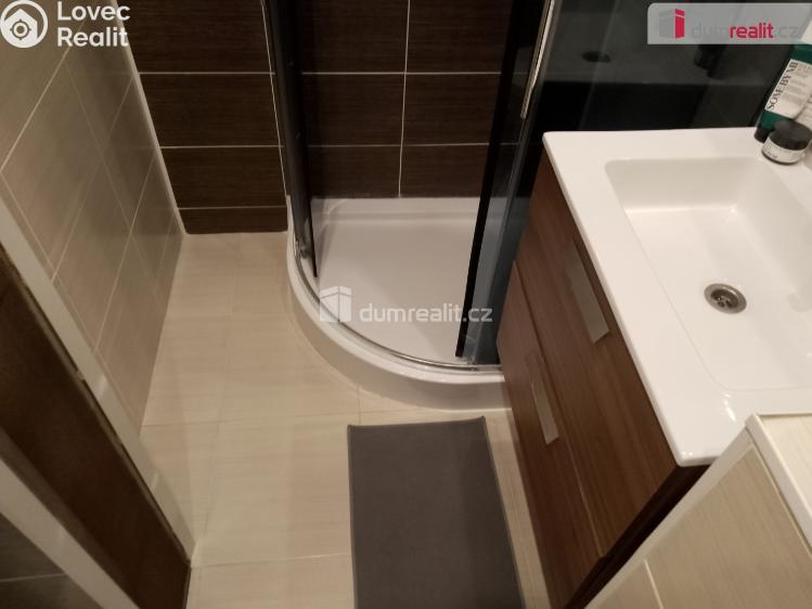 Pronájem bytu 2+1 Chodov, Revoluční č. 18