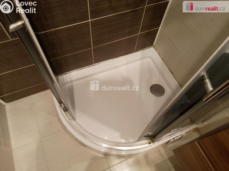 Pronájem bytu 2+1 Chodov, Revoluční č. 19