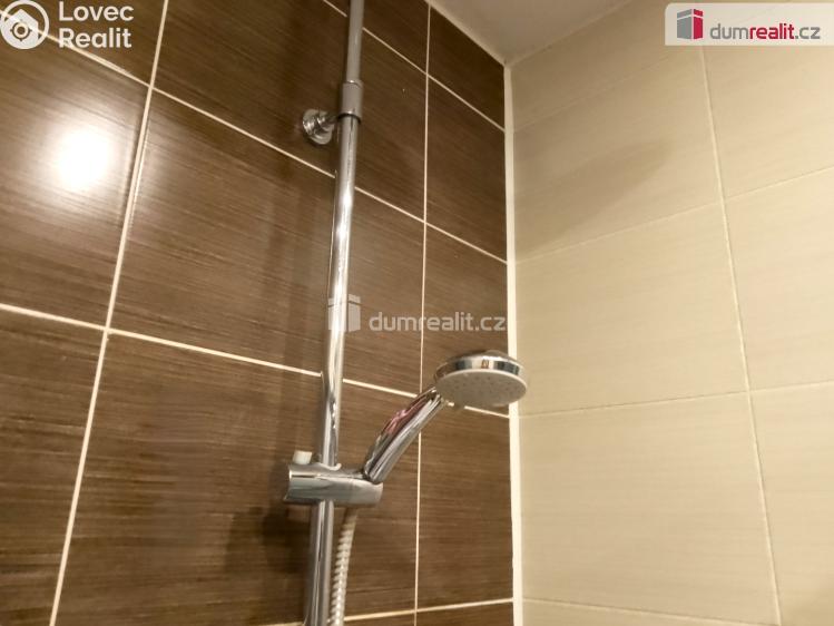 Pronájem bytu 2+1 Chodov, Revoluční č. 20