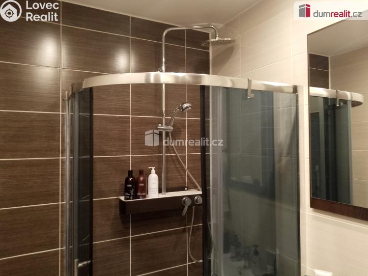 Pronájem bytu 2+1 Chodov, Revoluční č. 22