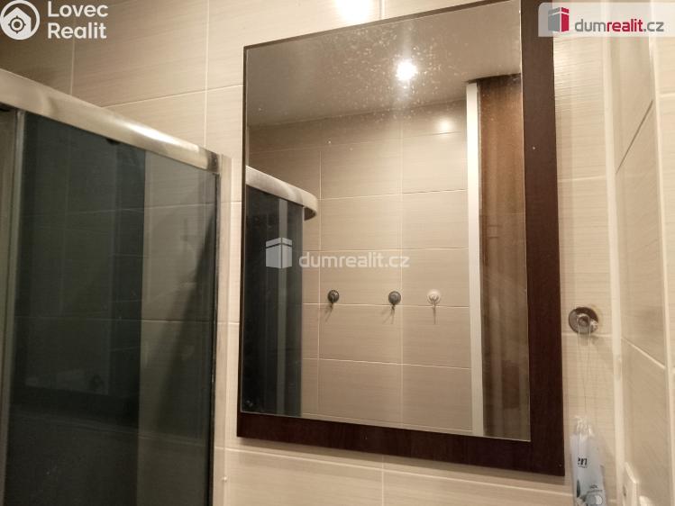 Pronájem bytu 2+1 Chodov, Revoluční č. 23