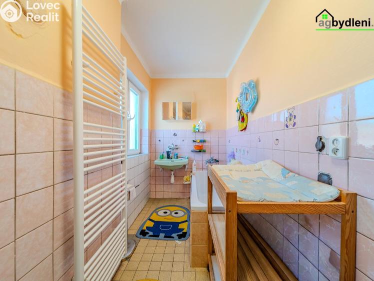 Prodej rodinného domu Strážov č. 27