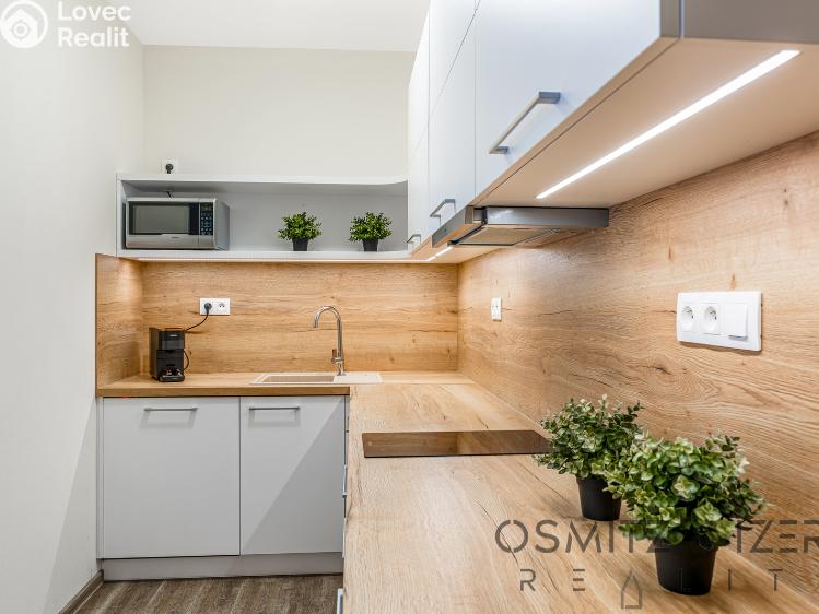 Продаж квартири 2+KK Říčky v Orlických horách č. 11