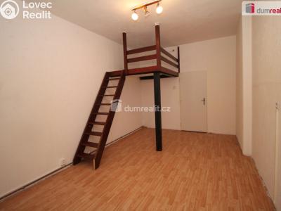 Pronájem bytu 1+1 Karlovy Vary, Lad. Koubka č. 1