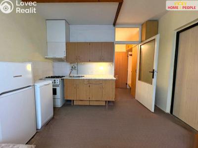 Prodej bytu 1+1 Mariánské Lázně, Na Výsluní č. 4