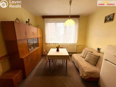Продажа квартиры 1+1 Mariánské Lázně, Na Výsluní č. 8