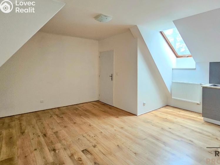 Pronájem bytu 1+KK Třebotov, Hlavní č. 4