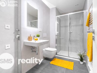 Pronájem bytu 2+KK Odolena Voda, Pod Sokolákem 709 č. 3