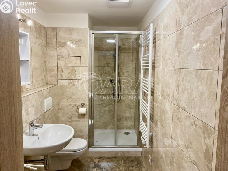 Pronájem bytu 1+KK Praha, Werichova 1145/23 č. 9