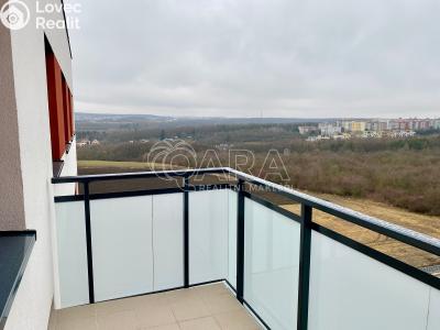 Pronájem bytu 1+KK Praha, Werichova č. 3