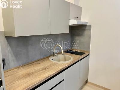 Pronájem bytu 1+KK Praha, Werichova č. 6