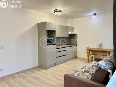 Pronájem bytu 1+KK Praha, Werichova č. 5