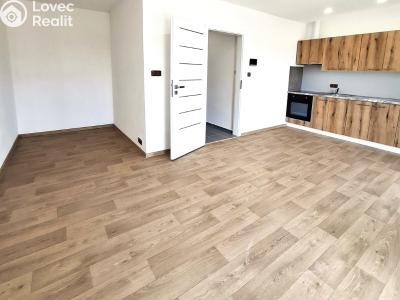 Pronájem bytu 1+KK Znojmo, Šatovská č. 1