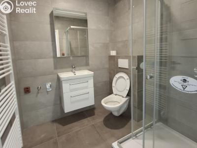 Pronájem bytu 1+KK Znojmo, Šatovská č. 3