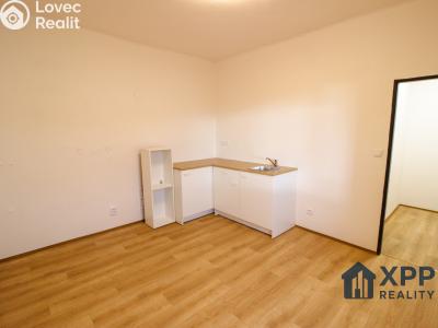 Pronájem bytu 1+KK Chlum u Třeboně č. 1