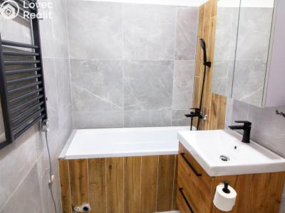 Pronájem bytu 1+KK Chlum u Třeboně č. 3