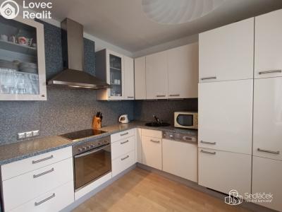 Pronájem bytu 2+1 Sokolov, Atletická č. 2