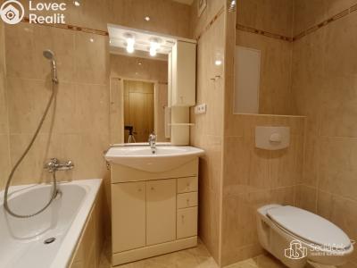 Pronájem bytu 2+1 Sokolov, Atletická č. 4