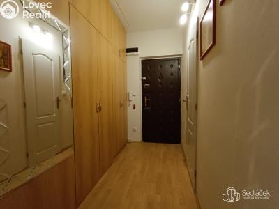 Pronájem bytu 2+1 Sokolov, Atletická č. 6