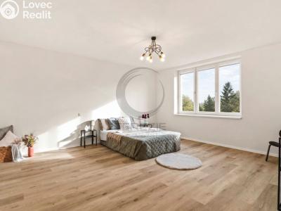 Prodej bytu 3+KK Praha, Božkova č. 3