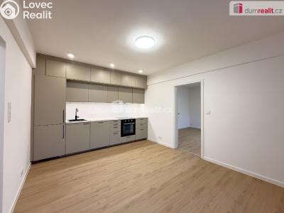 Pronájem bytu 2+KK Ústí nad Labem, Resslova č. 1