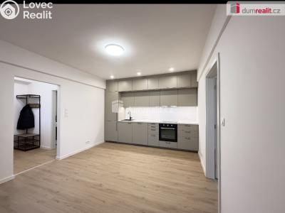 Pronájem bytu 2+KK Ústí nad Labem, Resslova č. 4