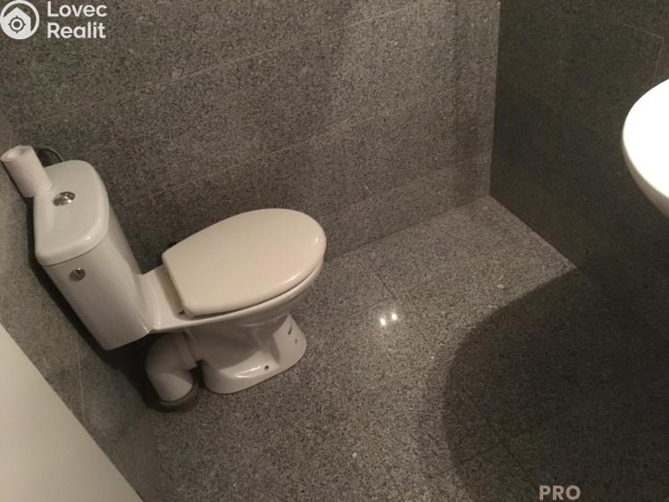 Pronájem bytu 1+KK Praha, Freyova č. 12